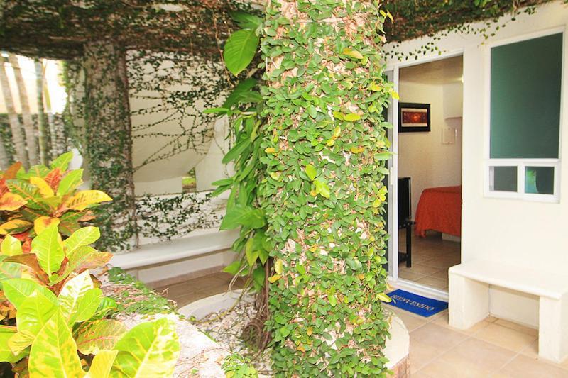 Bon Jesus Hotel La Vigueta Bagian luar foto